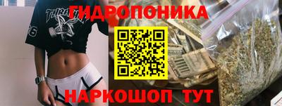 гидра Пушкино