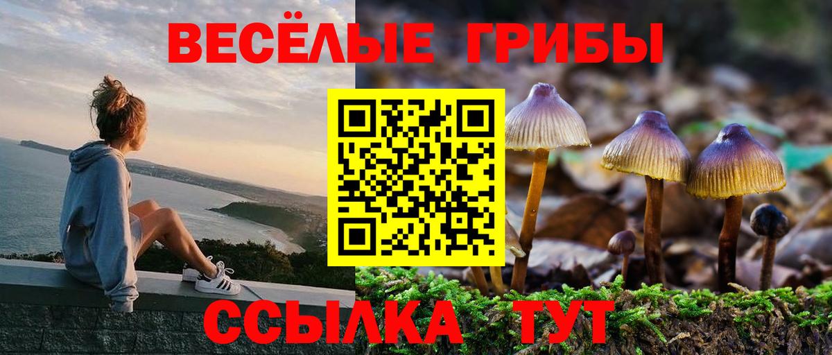 Сочи  Галлюциногенные грибы GOLDEN TEACHER  Вход с VPN 