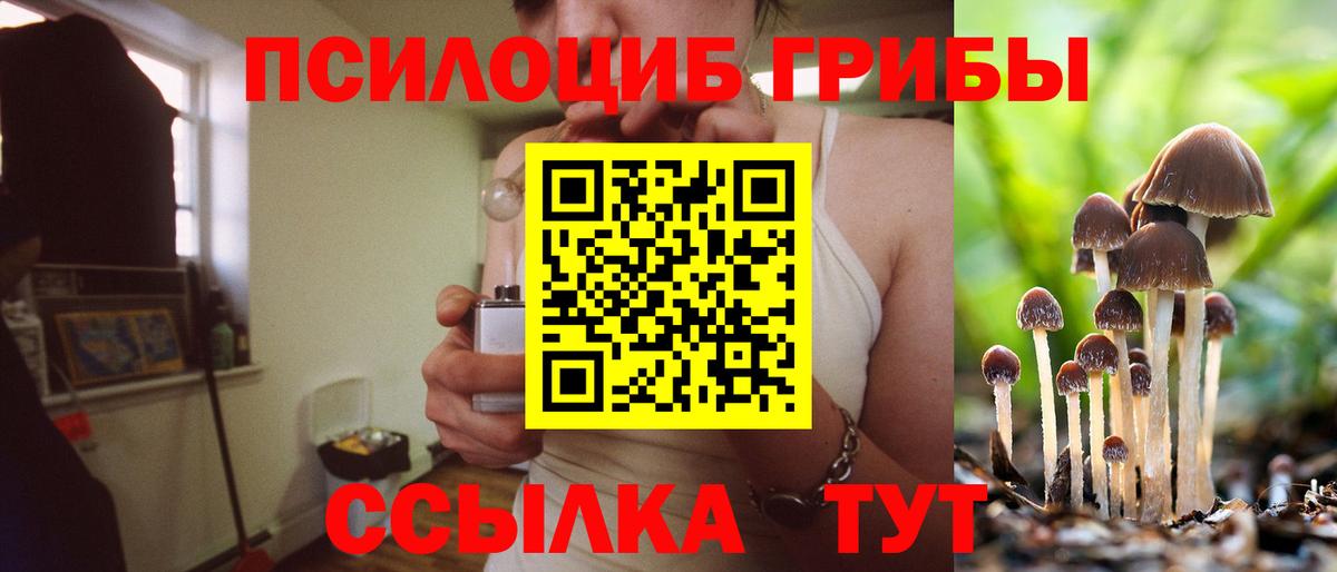 Галлюциногенные грибы прущие грибы Сочи